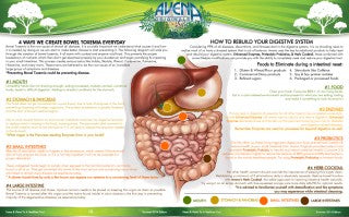 BOWEL TOXEMIA: CAUSE & CURE