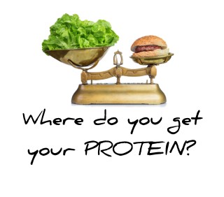WHAT IS PROTEIN