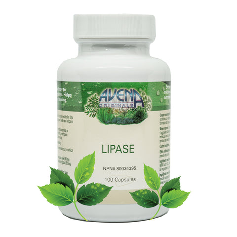 LIPASE ENZYME